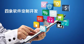 成都软件开发公司进行软件定制开发的优势与缺点